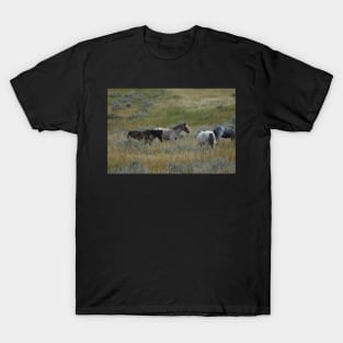 Wild Horse Herd T-Shirt